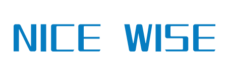 NICE WISE logo